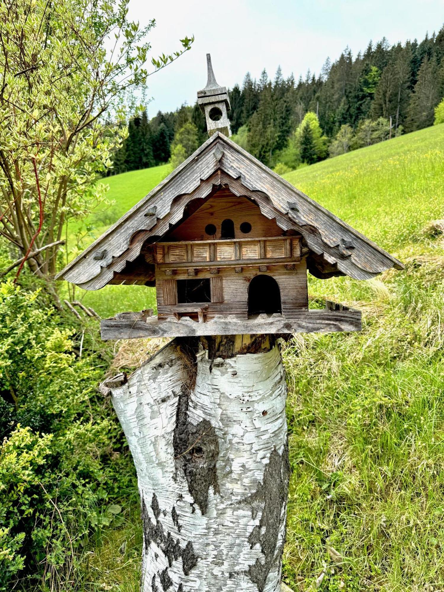 5* Panorama Chalet Mit Sauna By Belle Stay Going am Wilden Kaiser Exterior photo